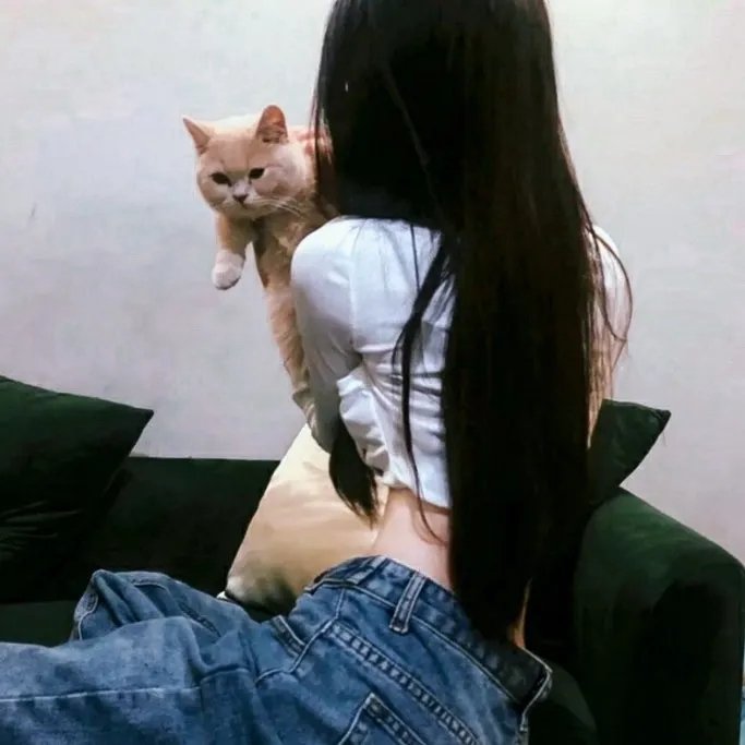 猫目小僧